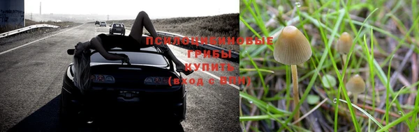 героин Вяземский