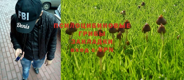 героин Вяземский