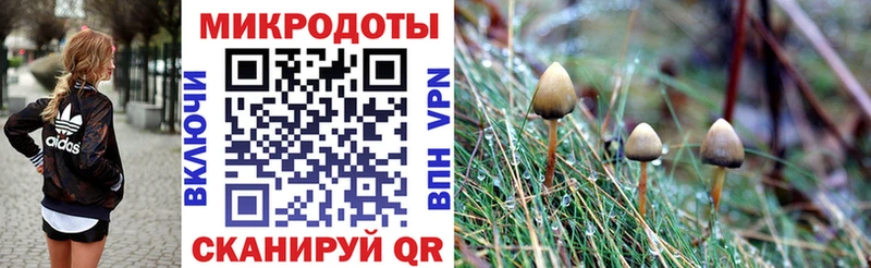 купить наркоту Игра Псилоцибиновые грибы Magic Shrooms